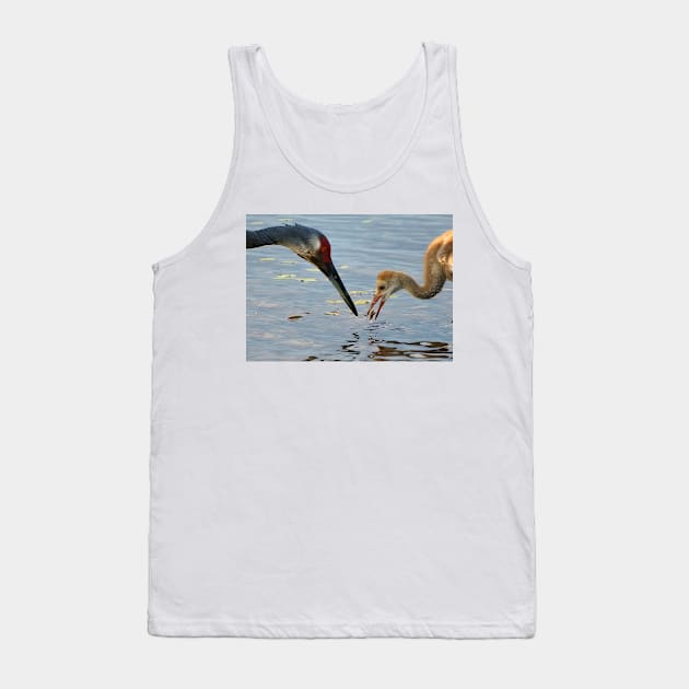 Sandhill crane parent with chick Tank Top by joesaladino